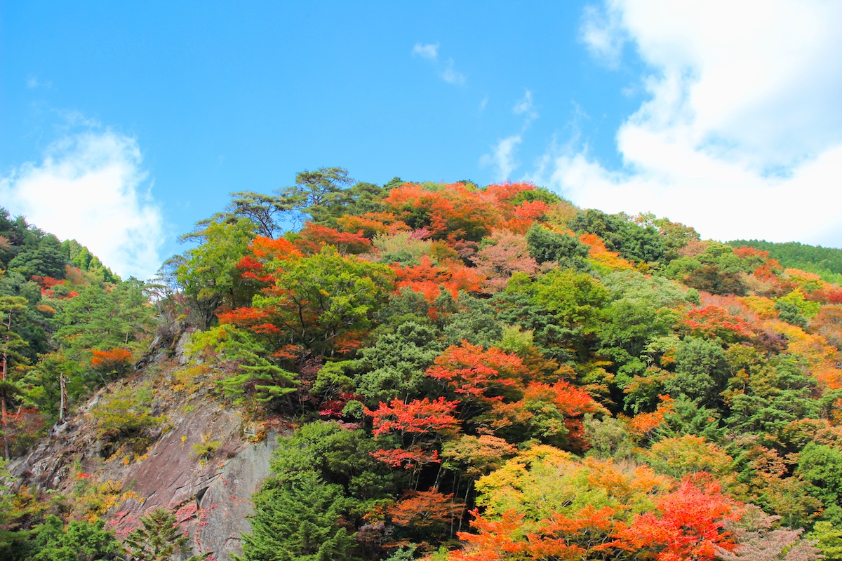祖母山川上渓谷